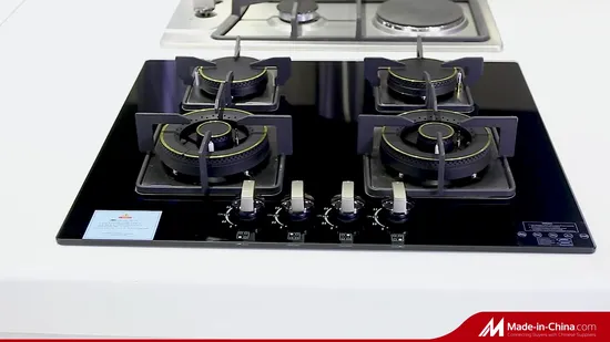 2021 새 모델, 고품질 실내 아프리카 SS-5 버너